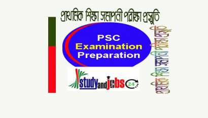 প্রাথমিক শিক্ষা সমাপনী পরীক্ষা প্রস্তুতি