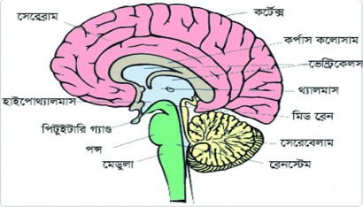 Voluptatem accusantium doloremque laudantium.
