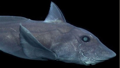 Voluptatem accusantium doloremque laudantium.