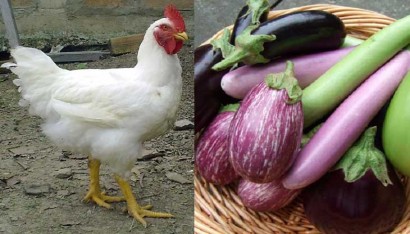 Voluptatem accusantium doloremque laudantium.