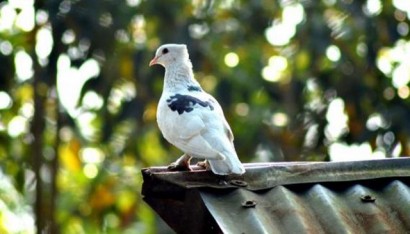 Voluptatem accusantium doloremque laudantium.